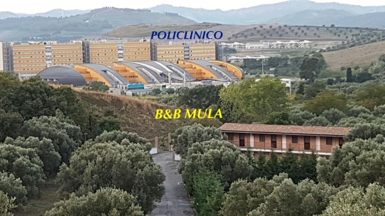 Mula Germaneto *